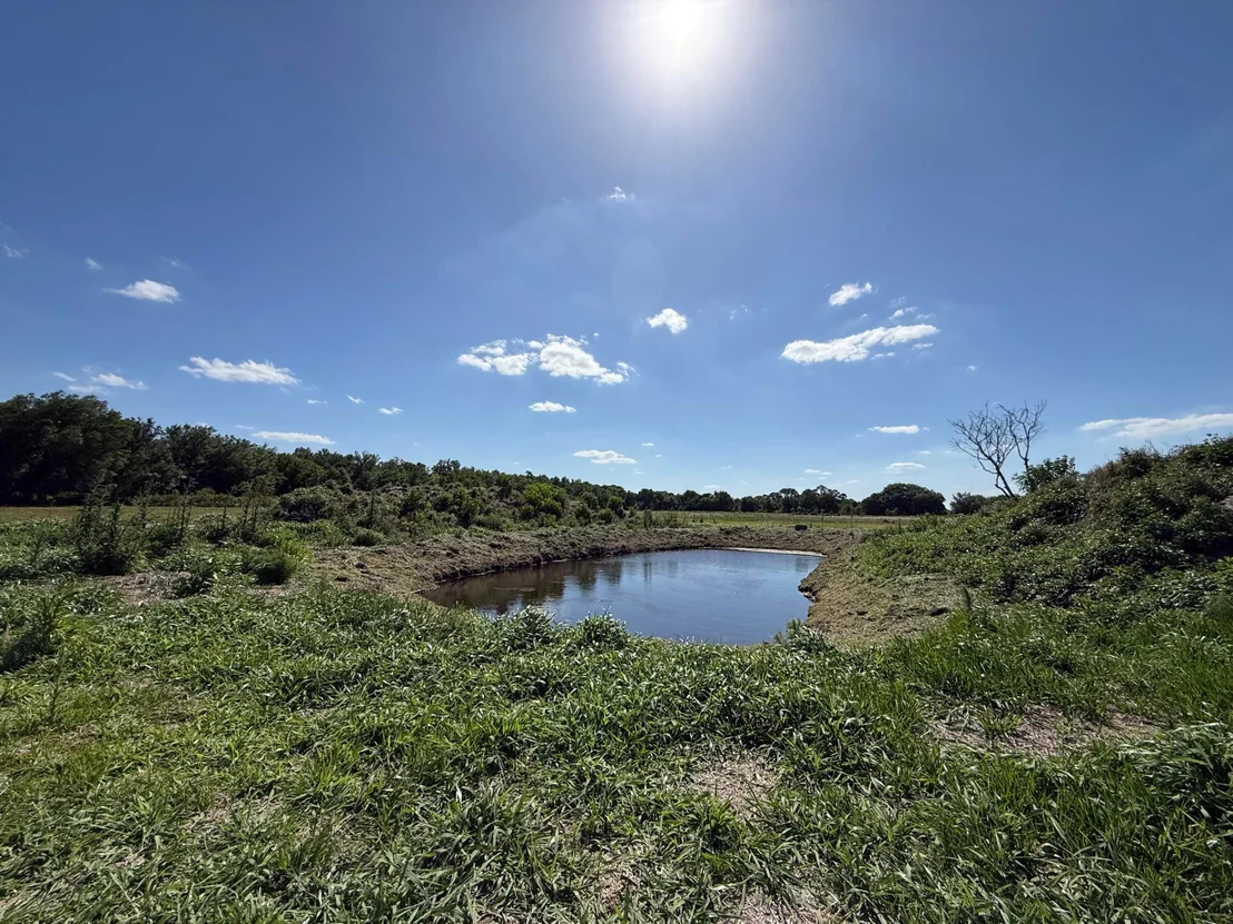 Photo of 2615 Bluff Hammock Road