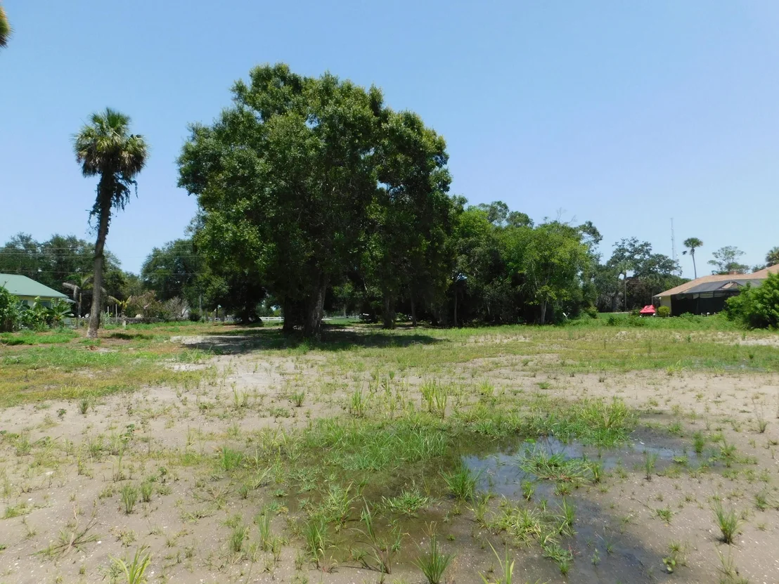 Photo of 3625 SUNRISE Boulevard
