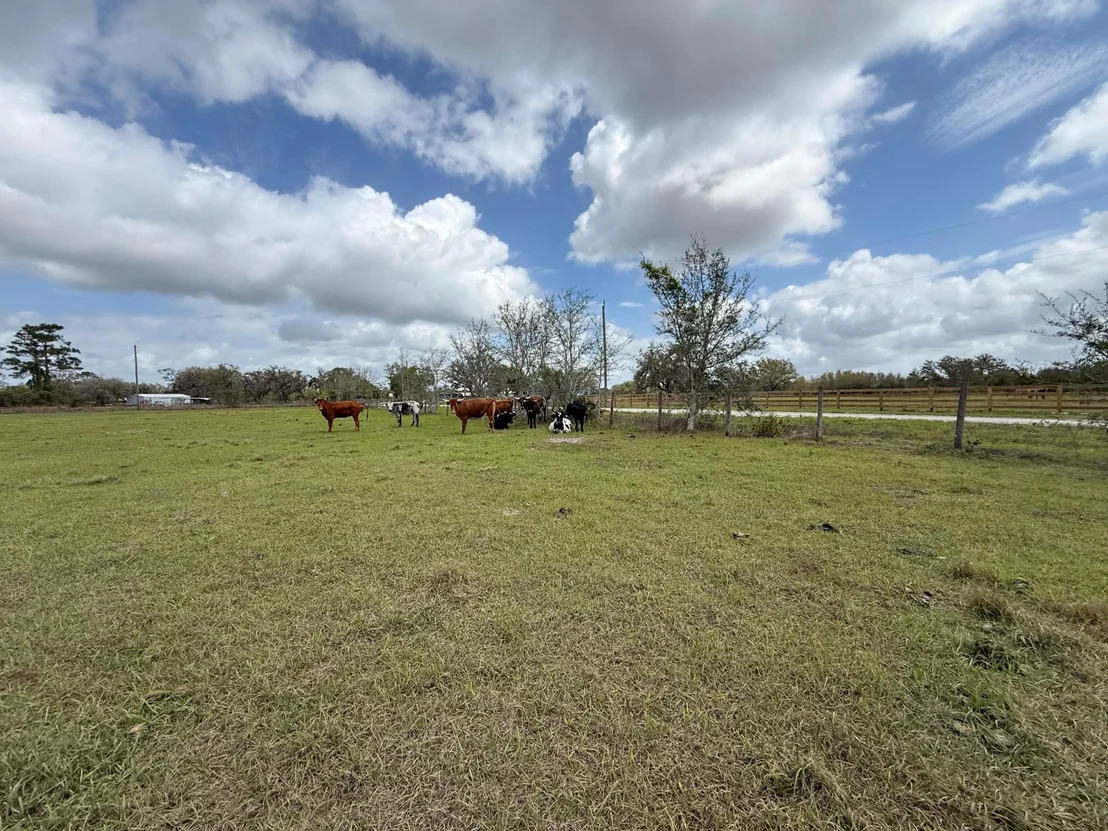 Photo of 33700 Hwy 441
