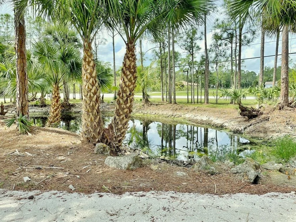 Photo of 5486 Avocado Boulevard