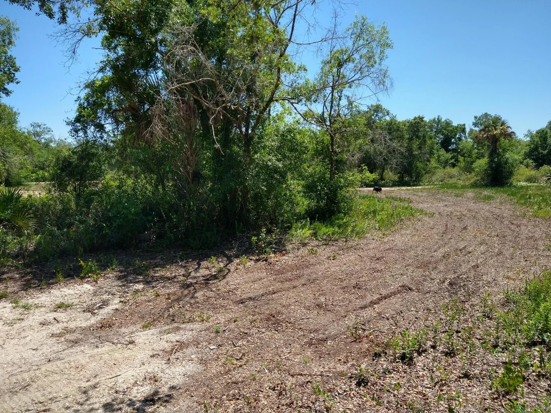 Photo of 19094 NW 284 Street