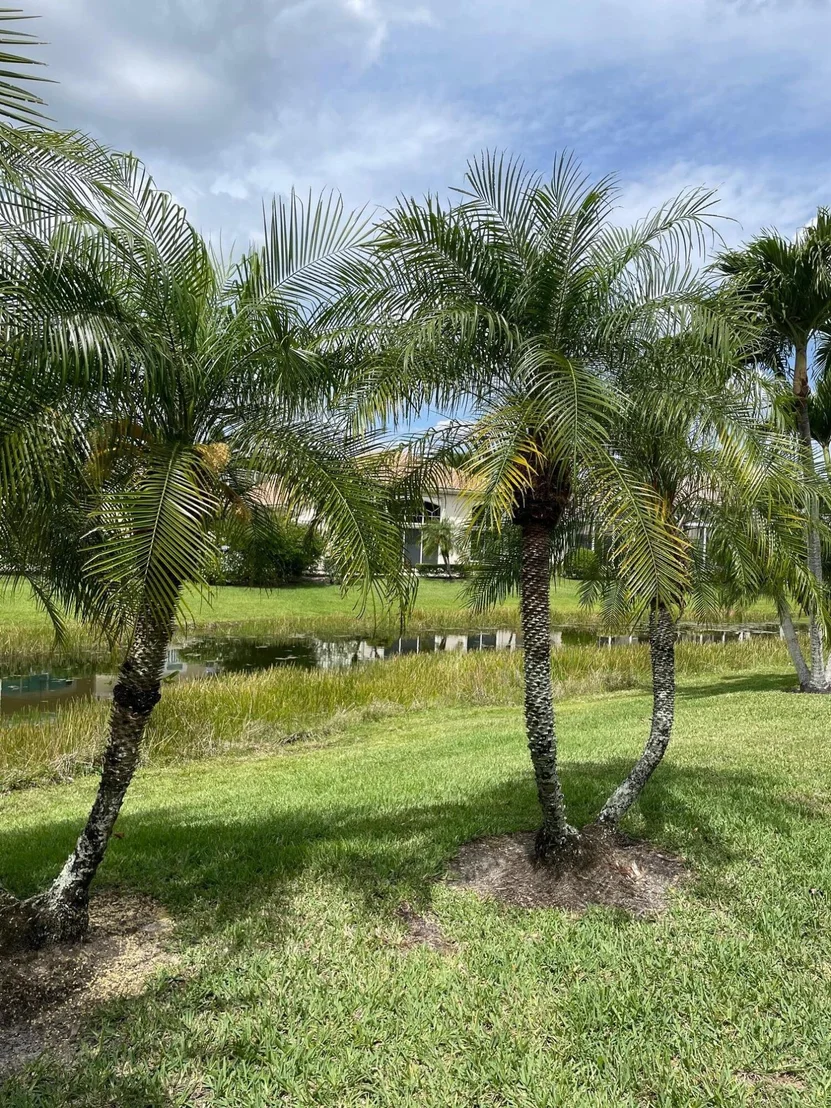 Photo of 522 Eagleton Cove Trace