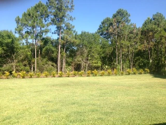 Photo of 2811 Bent Pine Drive