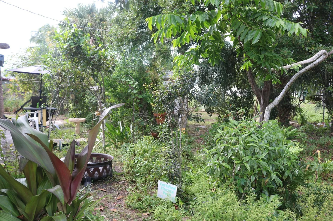 Photo of 9527 Keating Drive