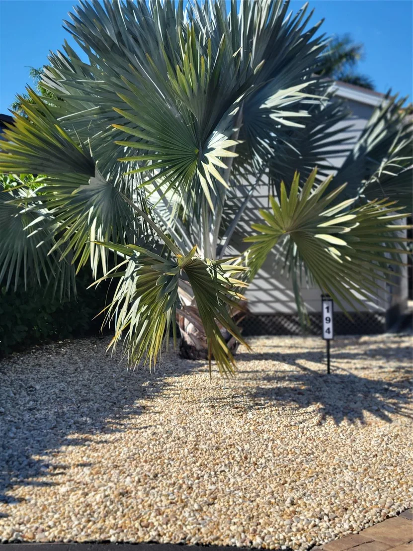 Photo of 3603 7th Path