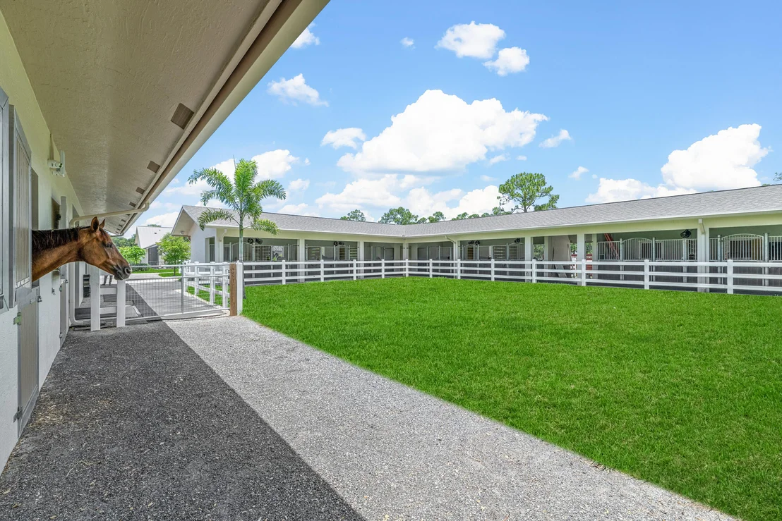 Photo of 1464 Stallion Drive
