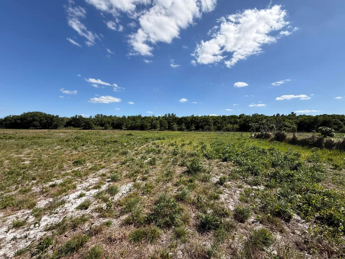 Photo of 2615 Bluff Hammock Road