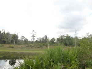 Photo of 17770 112th Drive N