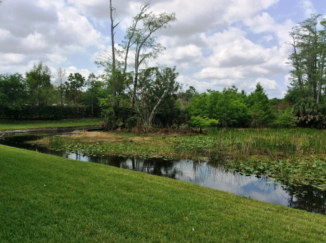 Photo of 9770 Campi Drive