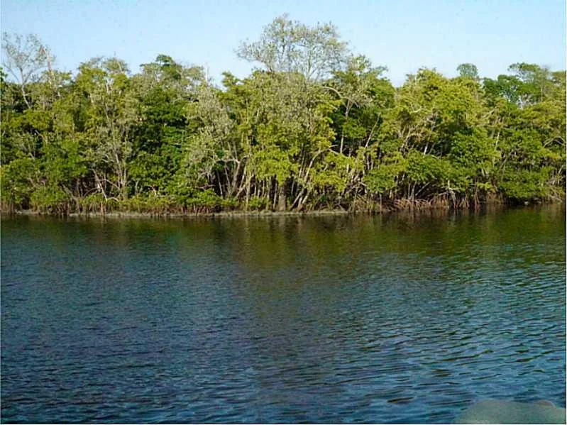 Photo of 5252 Boca Marina Circle