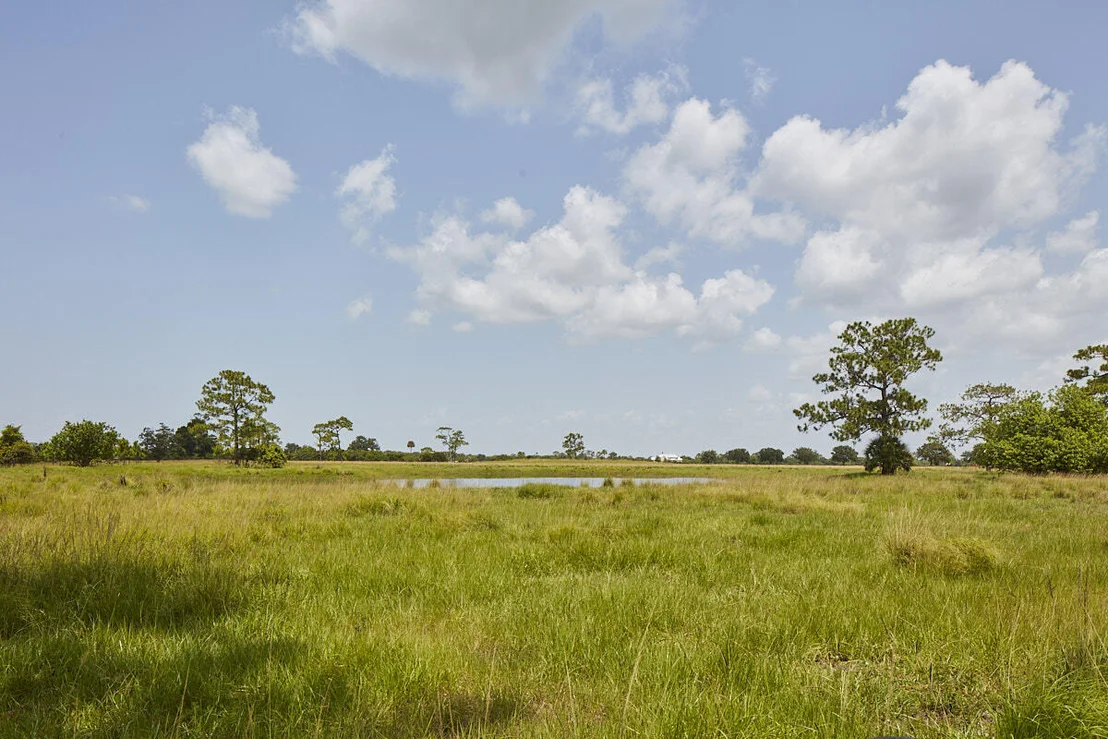 Photo of 25700 SW Brians Trail