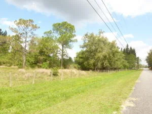 Photo of 17770 112th Drive N