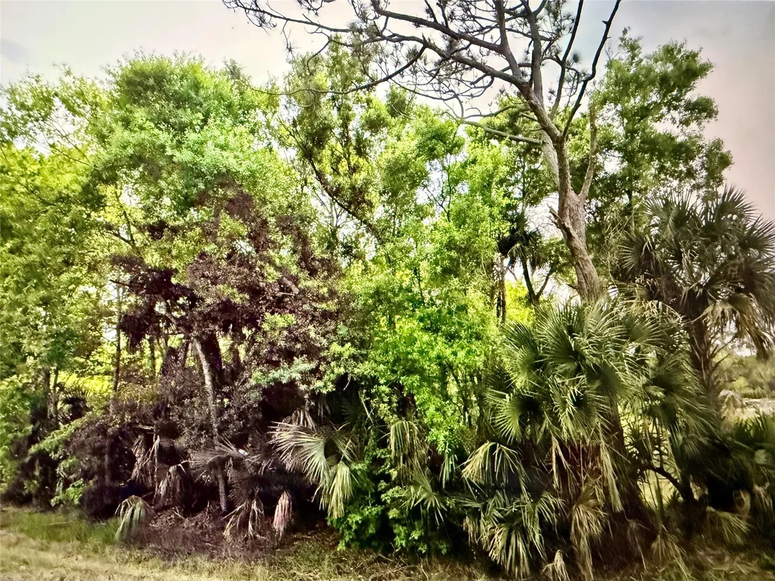 Photo of 2551 NW 35th Drive