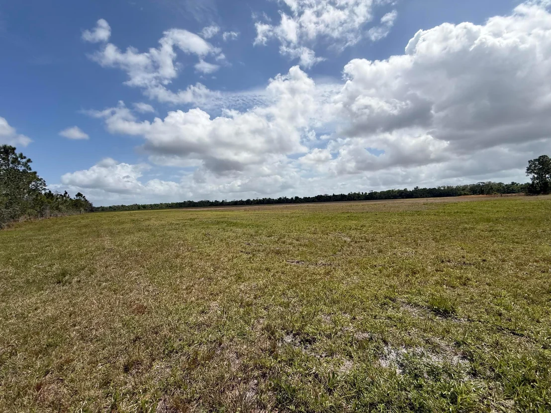 Photo of 33700 Hwy 441