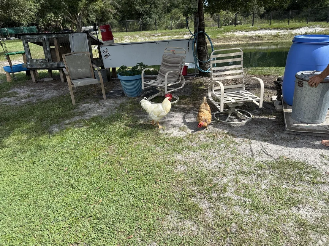 Photo of 19084 NW 306TH Street