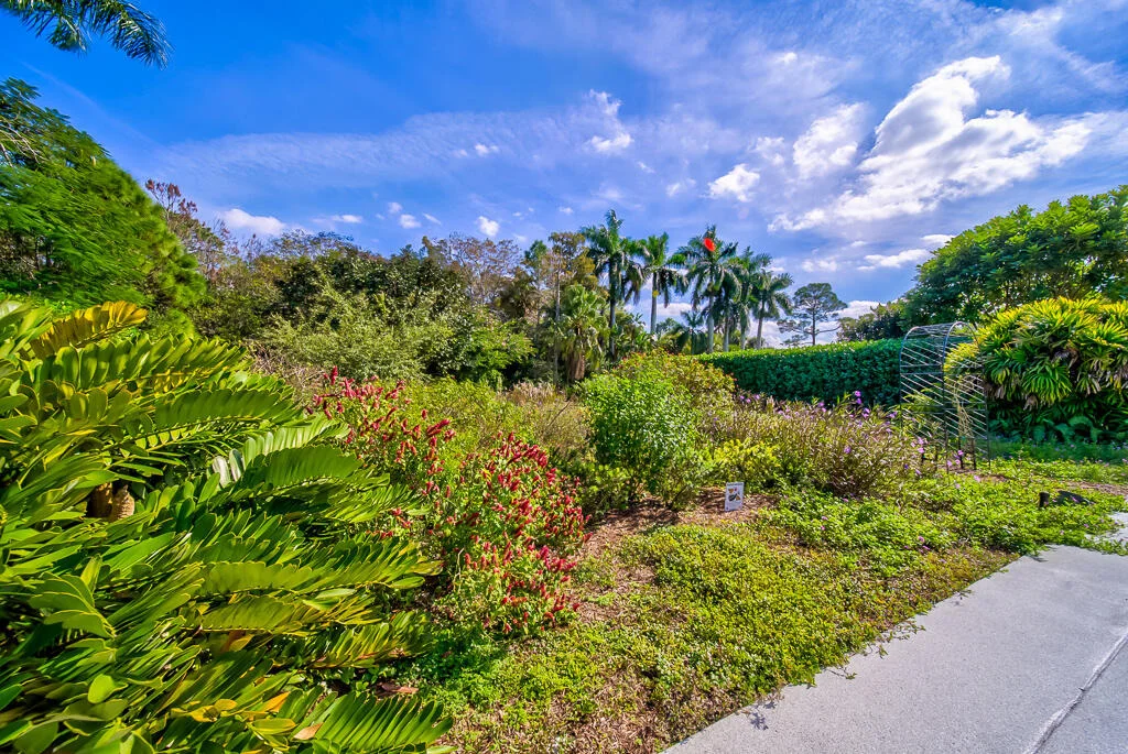 Photo of 4535 Hunting Trail