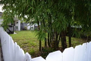 Photo of 15045 Jackson Road