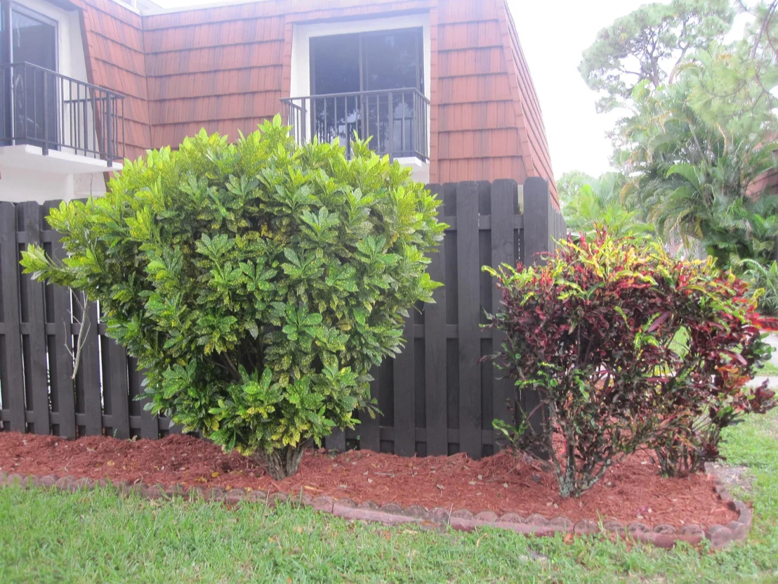 Photo of Unit A at 2143 White Pine Circle