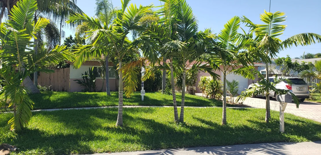 Photo of 98 Seminole Lane