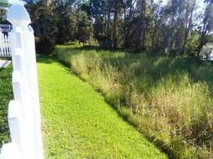 Photo of 342 Southwood Trail