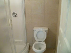 Photo of 5960 Snowdrop Way