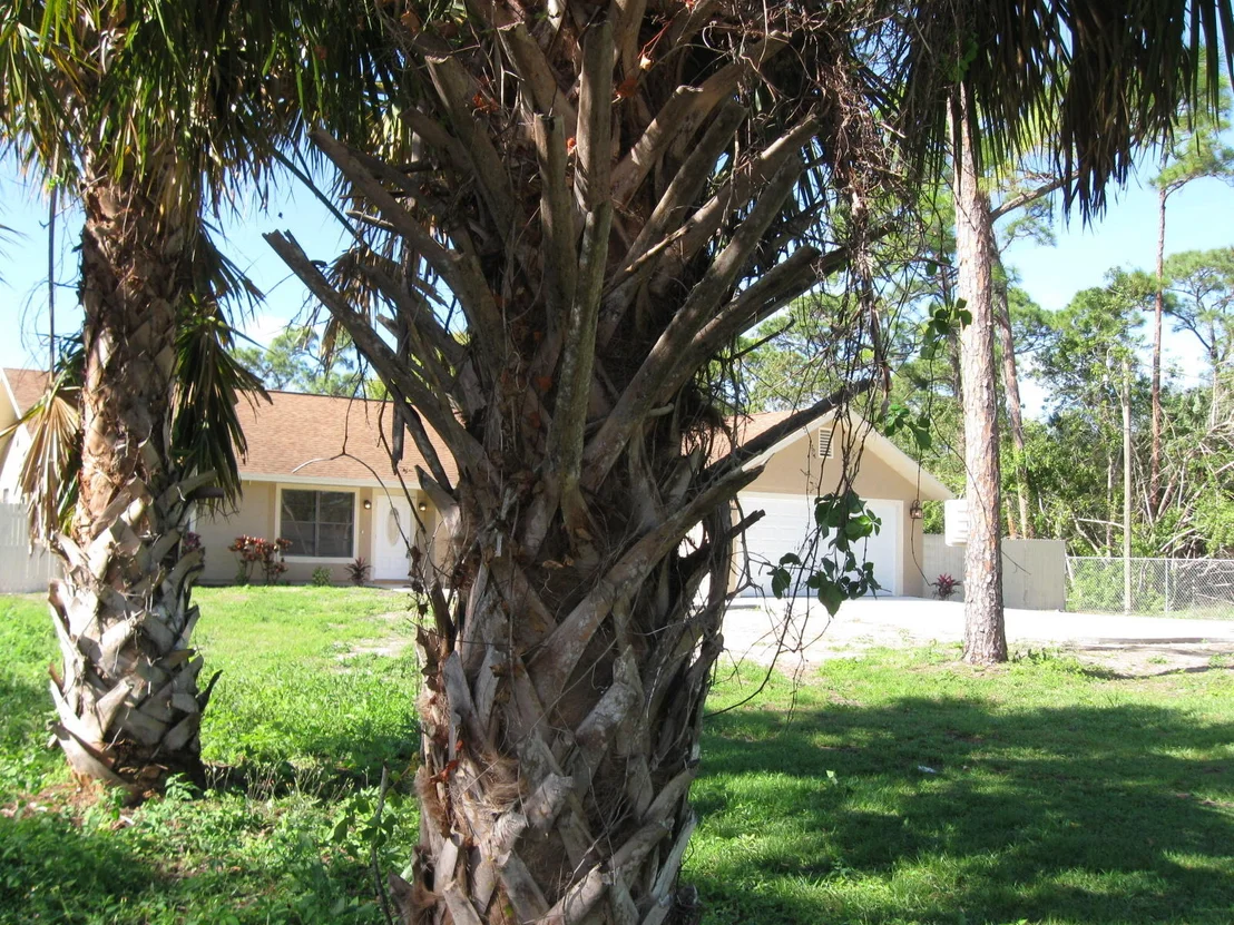 Photo of 4703 Buchanan Drive