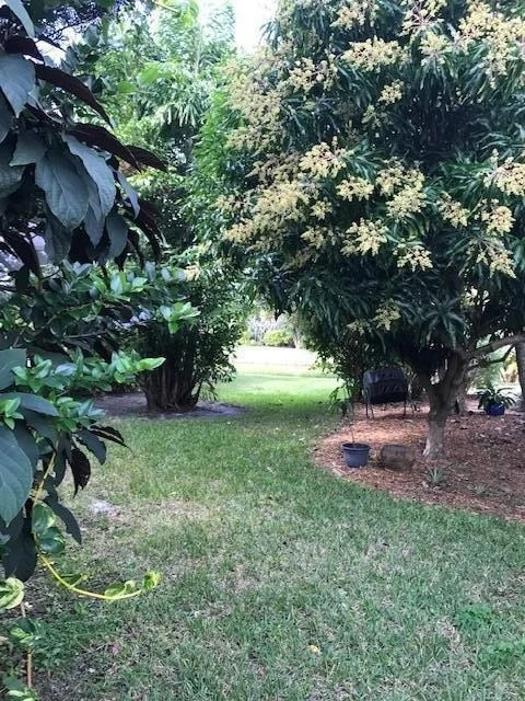 Photo of 6211 Winding Lake Drive