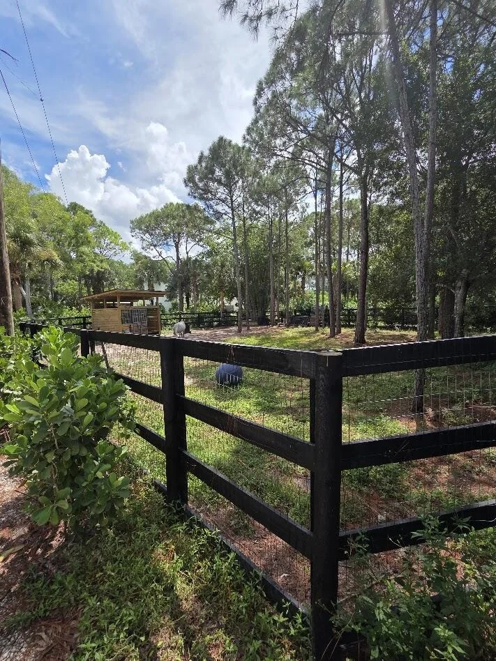 Photo of 930 RAMBLING DRIVE Circle