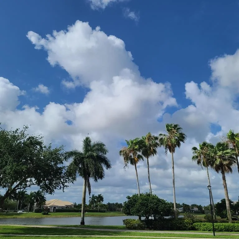 Photo of 4161 Bluff Harbor Way