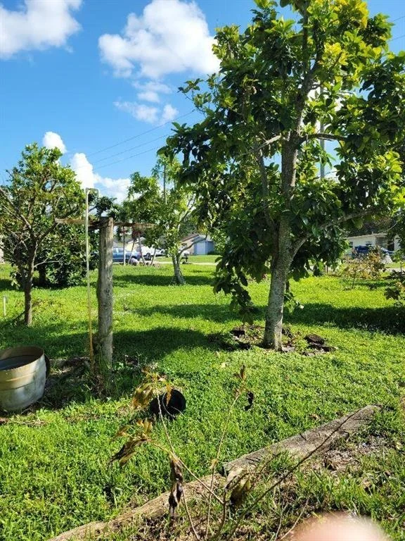 Photo of 80 Springdale Road