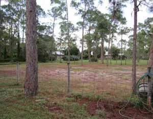 Photo of 12257 Sandy Run Road