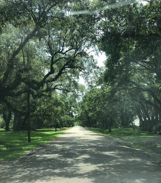 Photo of 2011 Dade Road