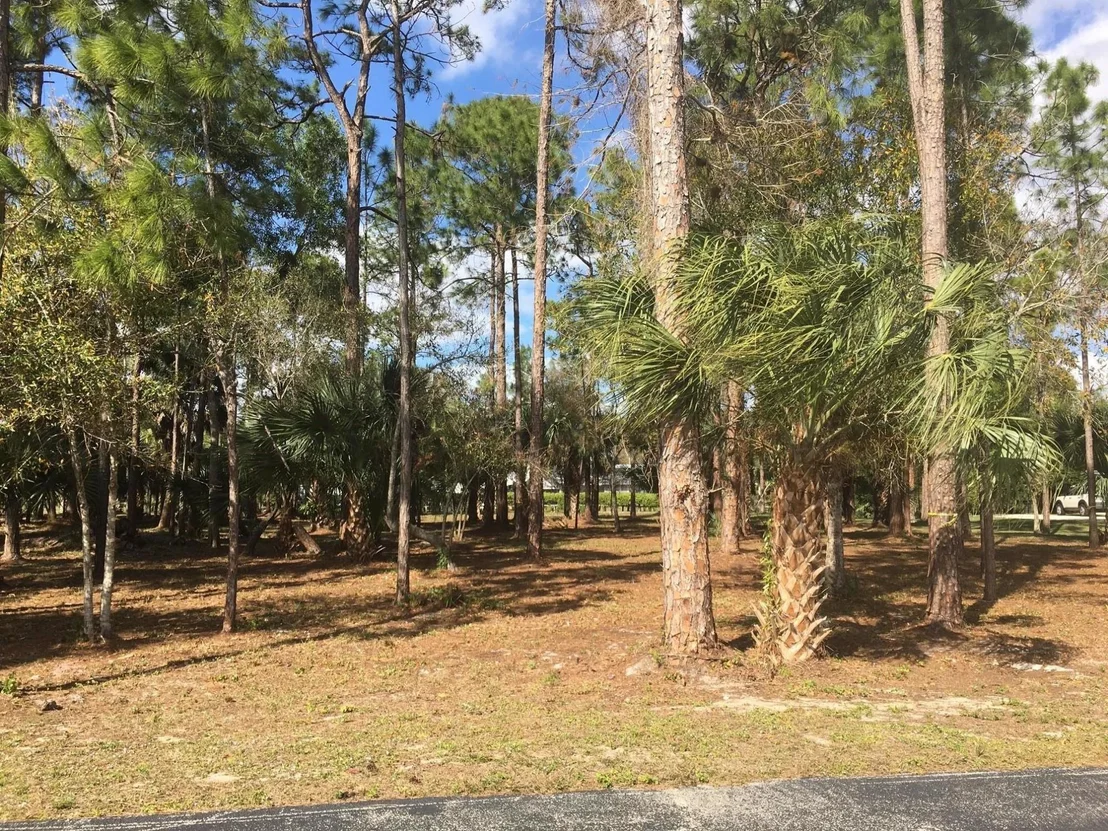 Photo of 14549 Paddock Drive