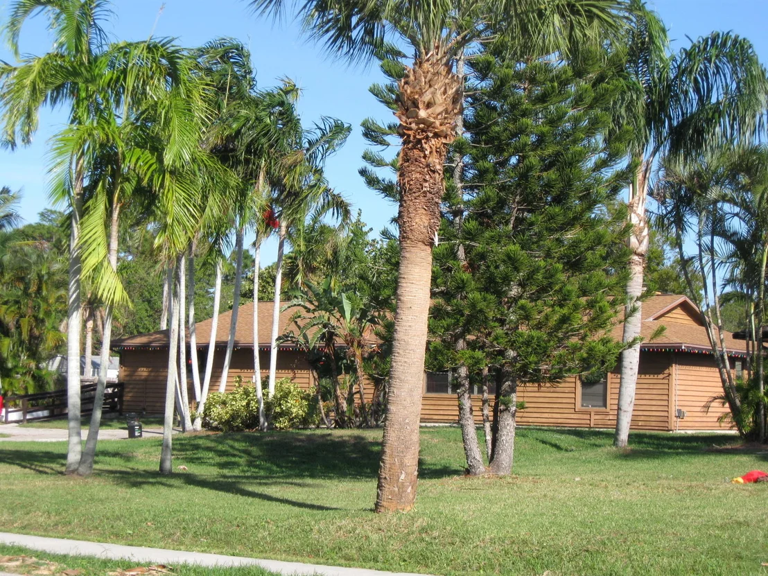 Photo of 4703 Buchanan Drive