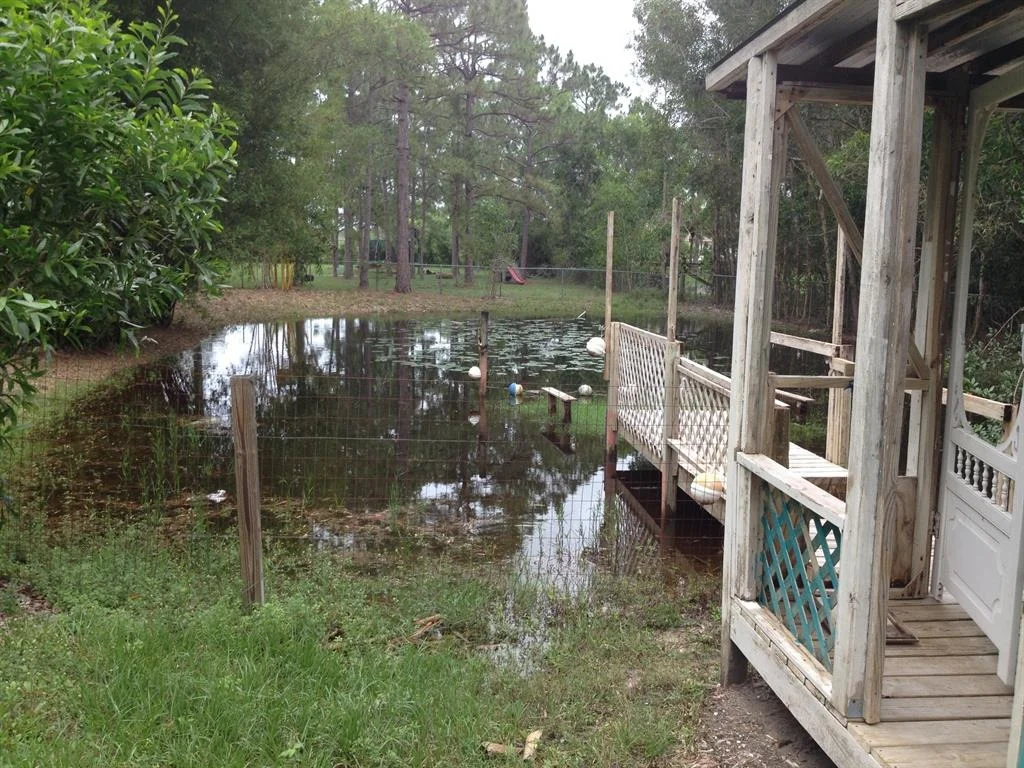 Photo of 14642 85th Road N