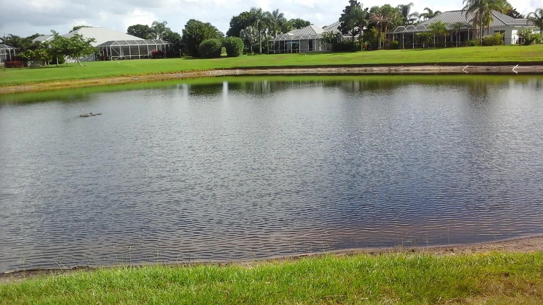 Photo of 156 Kildare Drive