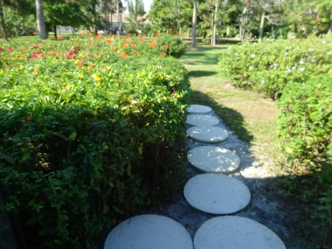 Photo of 6136 Rainbow Circle