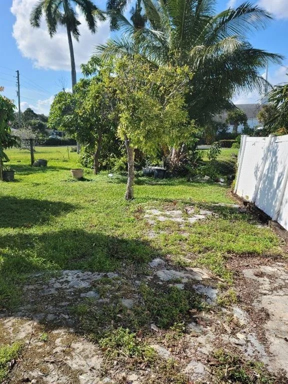 Photo of 80 Springdale Road