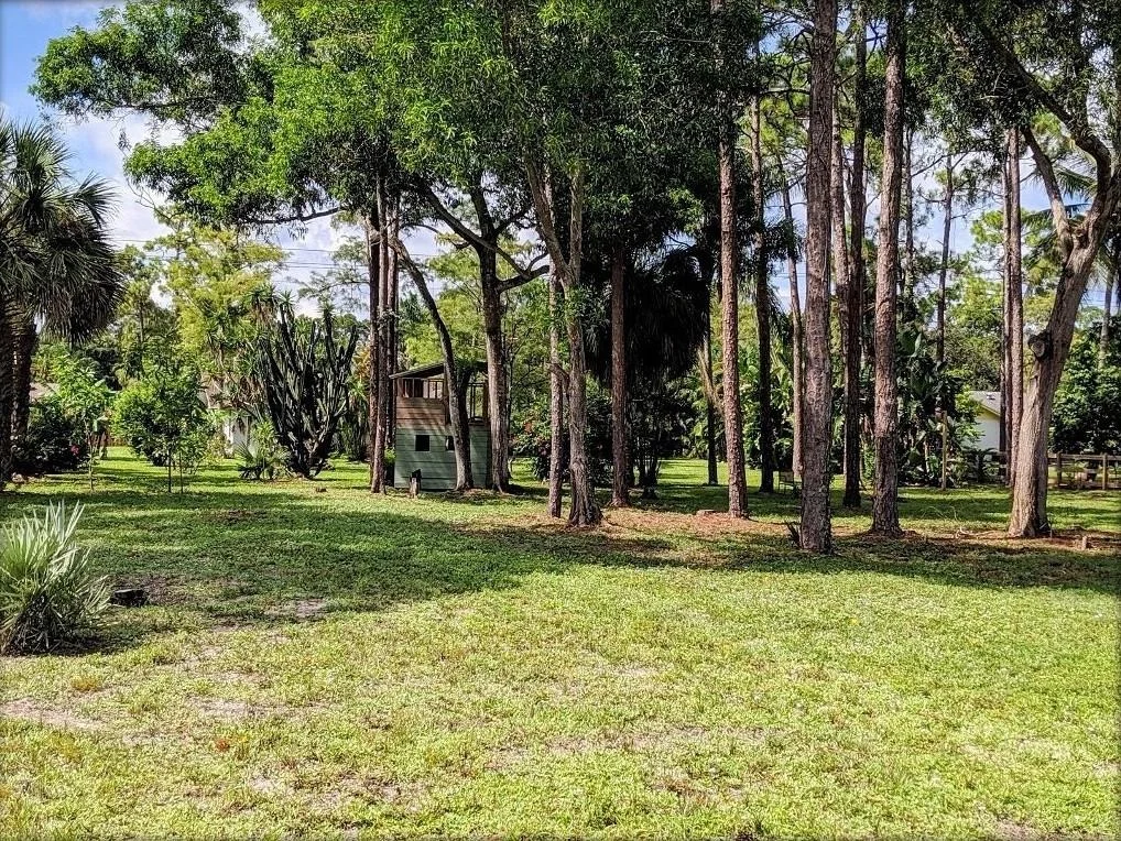 Photo of 12685 Timber Pine Trail