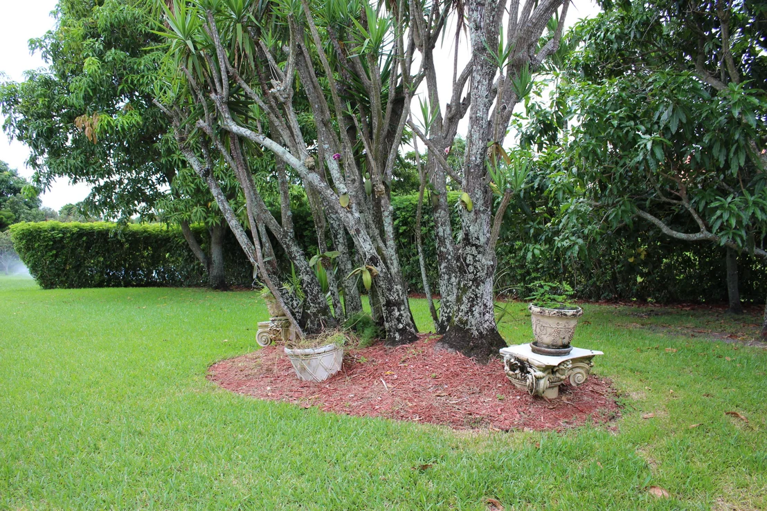 Photo of 21065 Madria Circle
