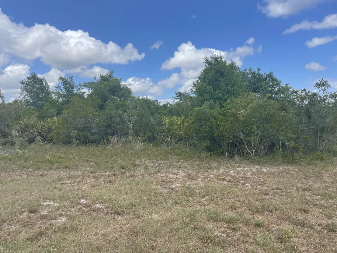 Photo of 20369 NW 258th Street