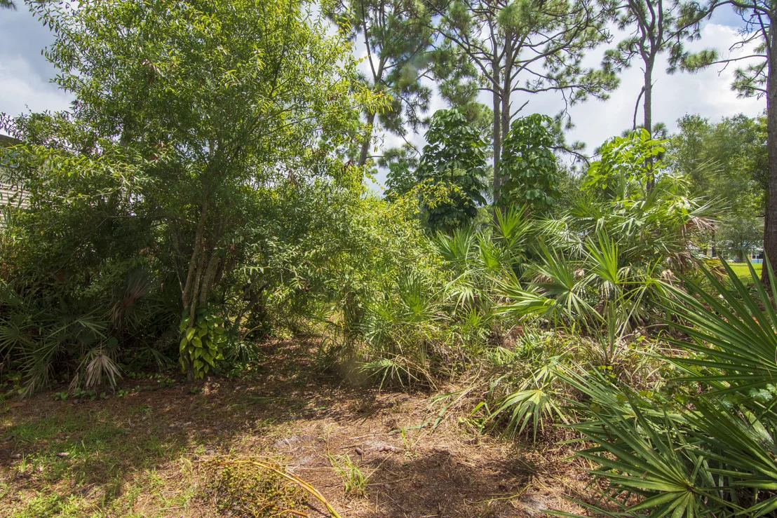 Photo of 5705 Birch Drive