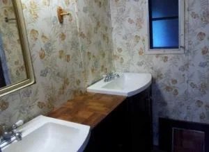 Photo of 439 Royal Tern Drive