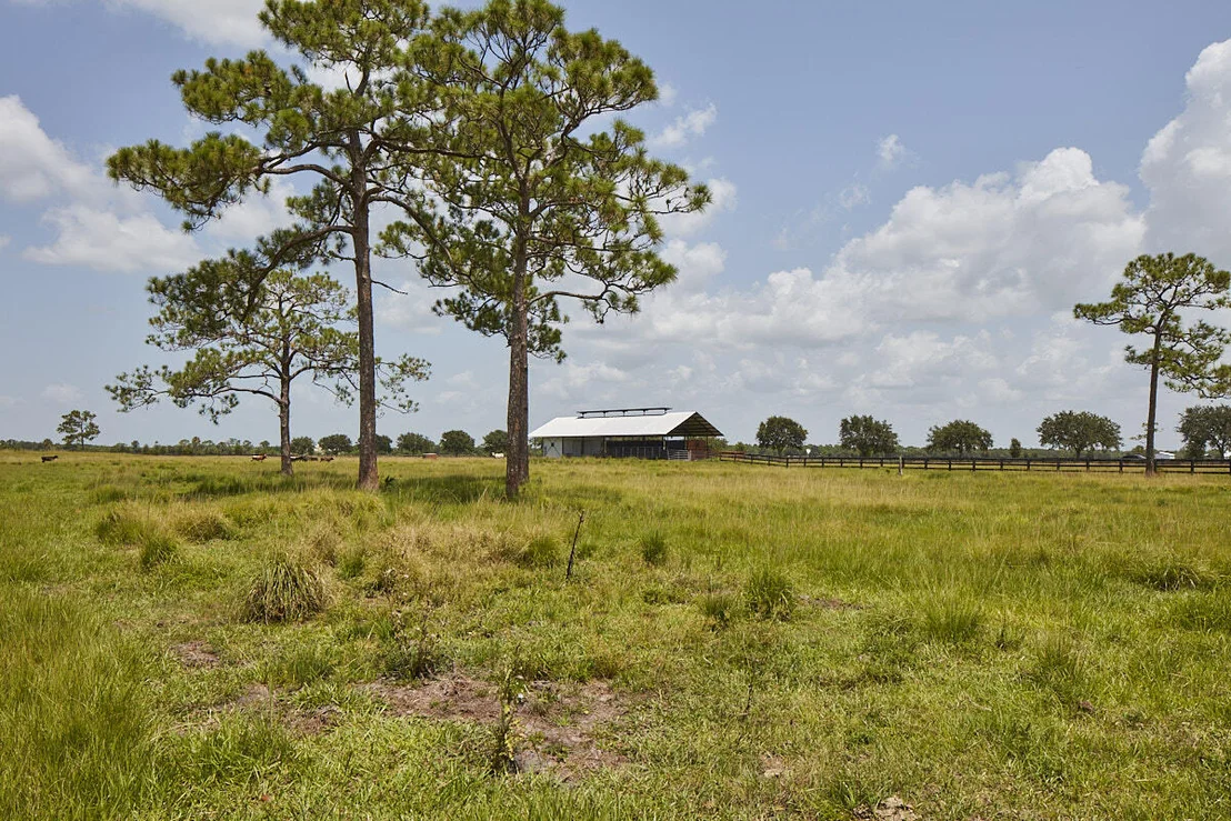 Photo of 25700 SW Brians Trail