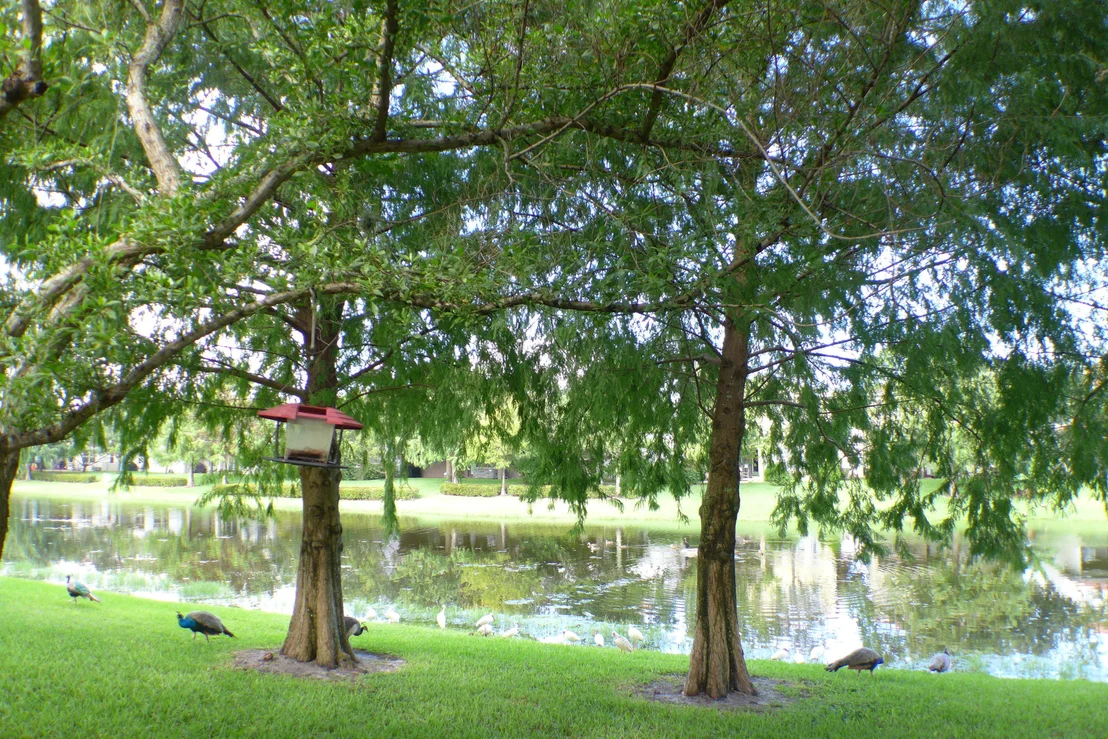 Photo of 1090 Grove Park Circle