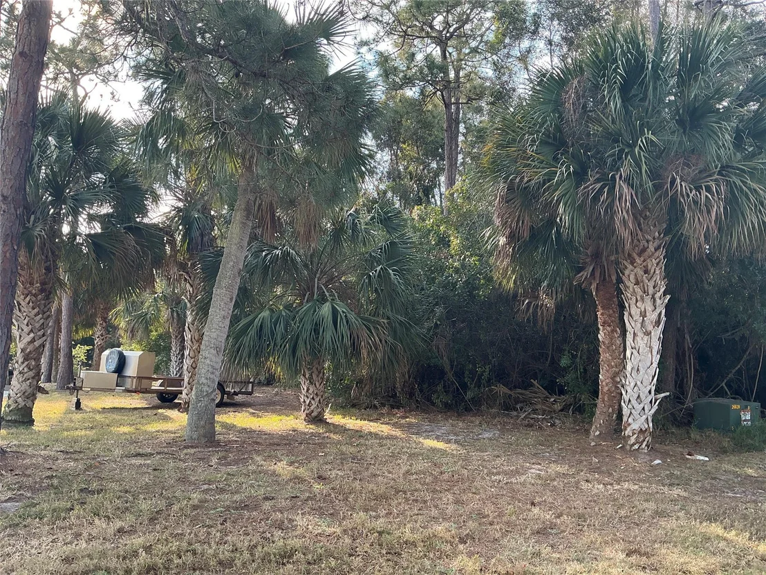 Photo of 557 Drawdy Way