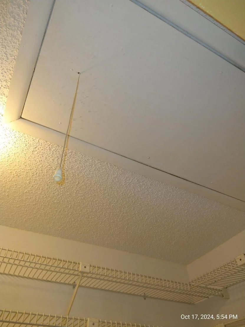 Photo of Unit C at 14290 Nesting Way