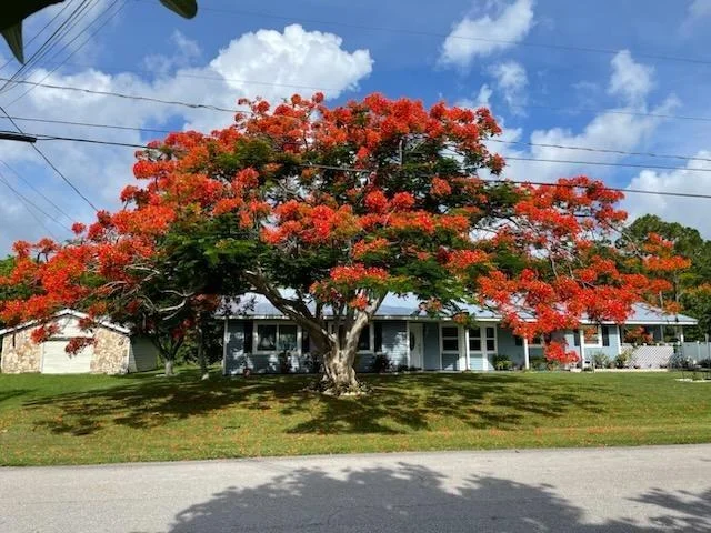 Photo of 5201 Seagrape Drive