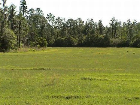 Photo of 6465 Marbletree Lane