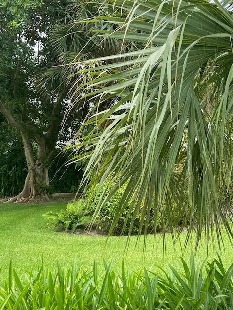 Photo of 936 Tides Road